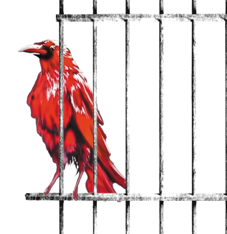 Affiche Tous mes rêves