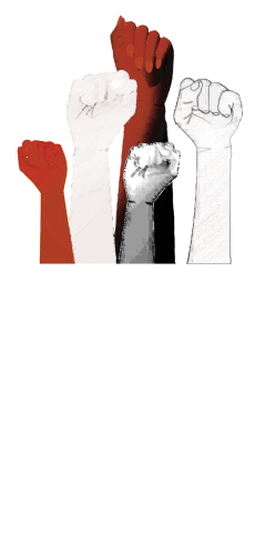 Assemblée des femmes